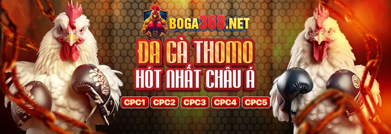 Hỗ trợ khách hàng 24/7 tại xs66 chính thức