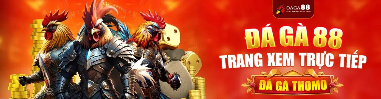 Đá gà kịch tính tại XS66 Chính Thức